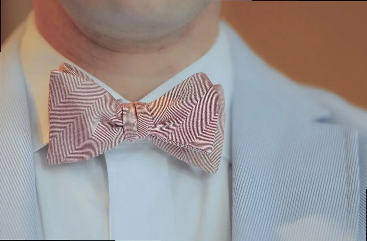 man, bow, tie, fashion, bow tie, suit, men's fashion, style, stylish man, elegant, accessory, male, formal, wear, clothi